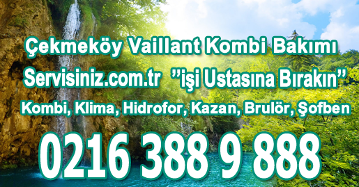 Çekmeköy Vaillant Kombi Bakımı