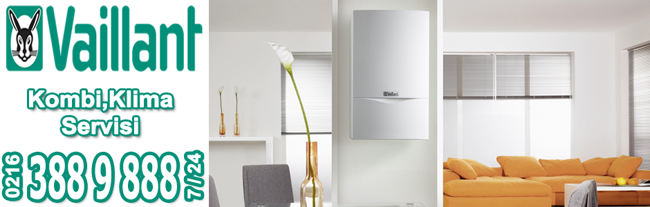 Vaillant Servisi